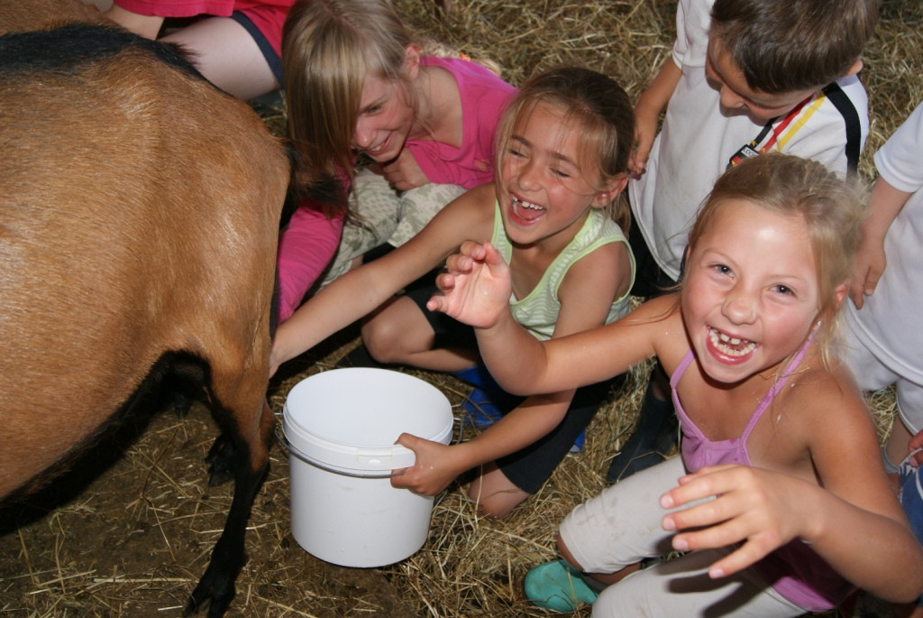 Ferme pédagogique à Granville