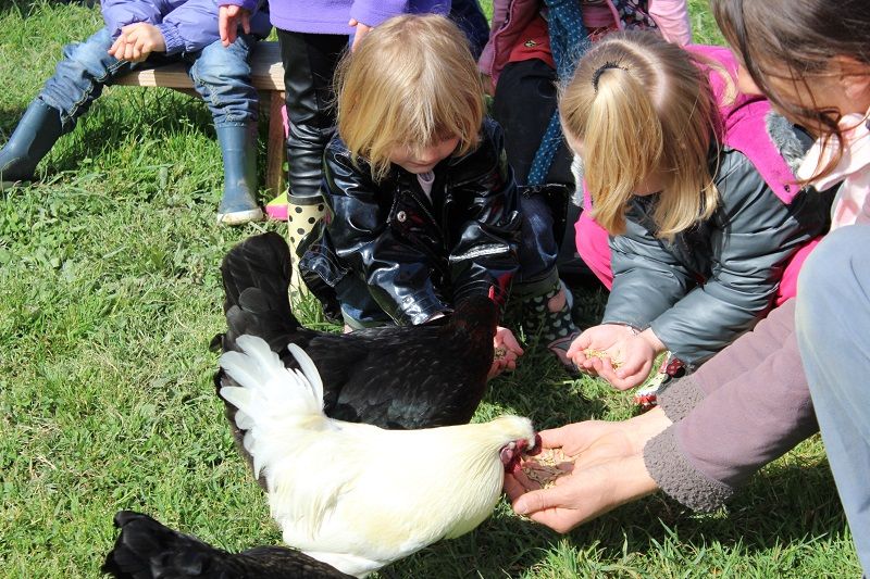 Mes premières bottes