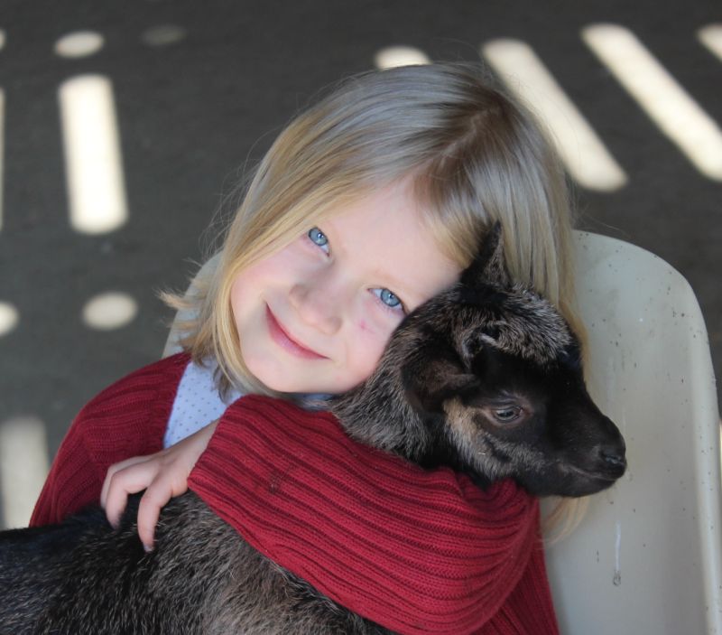 Expérience : Fermier d