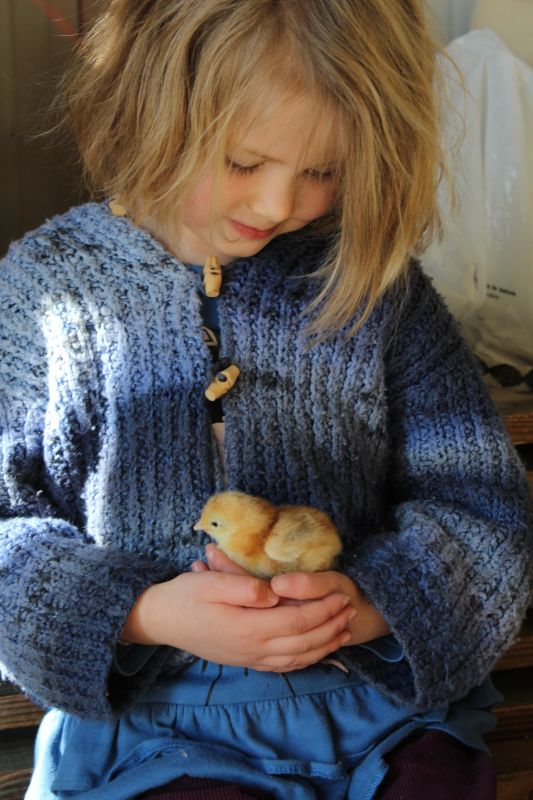 Une visite pour chaque groupe