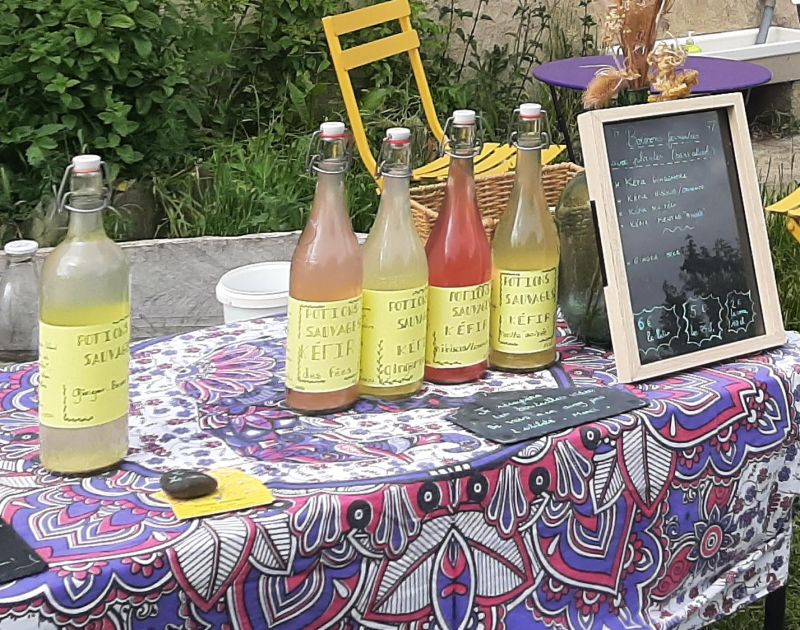 Kéfirs et produits lacto-fermentés