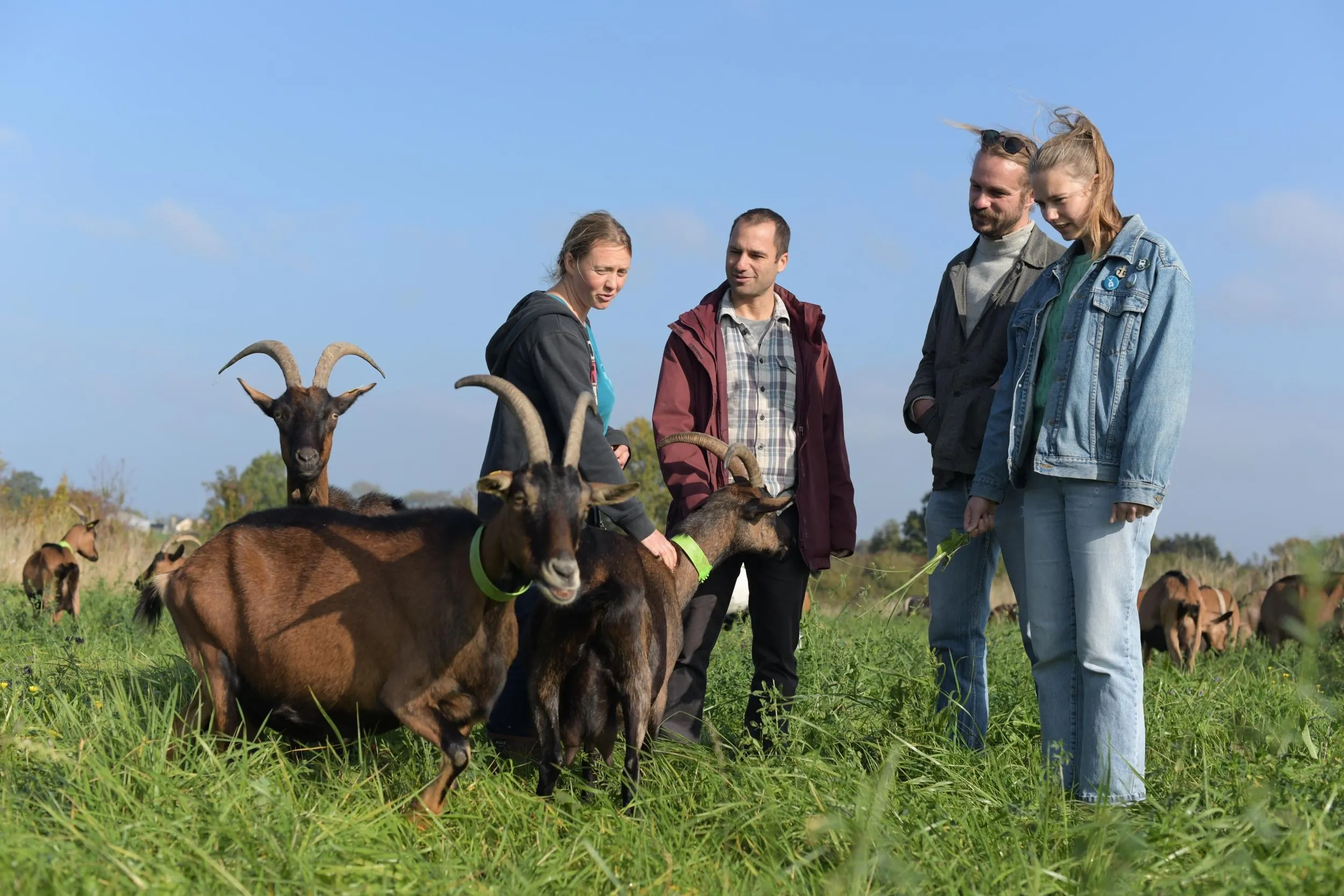 De la chèvre au fromage