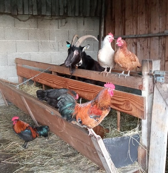 Visite libre et grauite