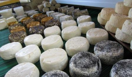 Fromages de chèvre bio à Granville