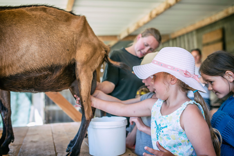Ecoles et groupes enfants