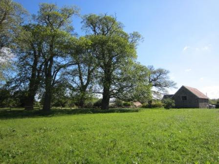 Culture bio et agroforesterie à Granville