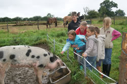 Visites de la ferme en famille