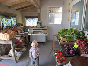 Marchés et guinguettes